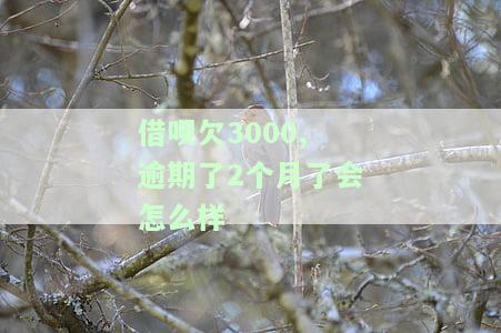 借呗3500逾期2个月多少钱，逾期2个月，借呗3500元的还款金额是多少？