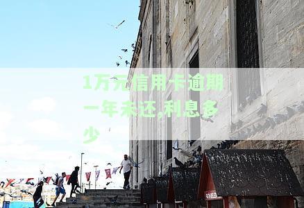 一万块信用卡逾期一年：利息、影响全解析
