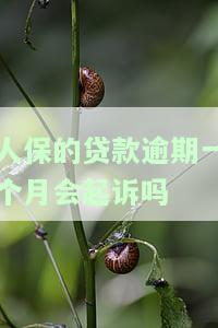 人保的贷款逾期一个月会起诉吗是真的吗，人保贷款逾期一个月会被起诉吗？真相大揭秘！