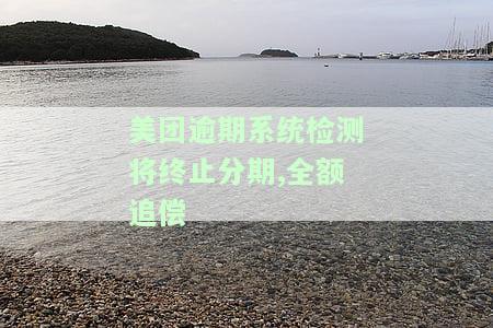 美团逾期止合约：半月内需签解约协议并全额还款