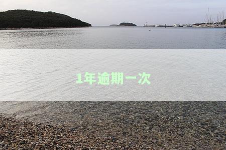 一年内有一次逾期，如何避免因一次逾期而影响信用记录？