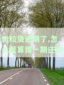 微粒贷逾期一期后，如何算作一次性还清？需要全额还款吗？