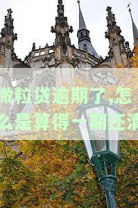 微粒贷逾期了,怎么是算得一期还清