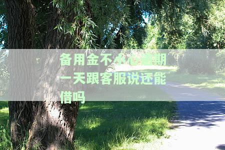 备用金逾期一天，能否继续借款？与客服沟通会有何影响？