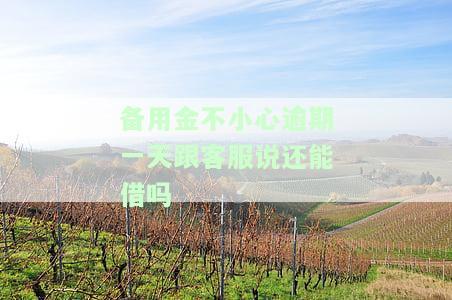 备用金不小心逾期1天了还进去借不出来了，备用金逾期一天，还款后无法再借款？