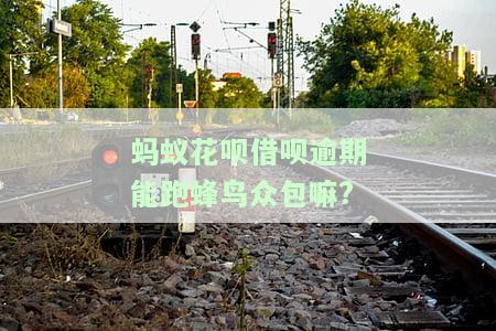 欠支付宝钱能否跑蜂鸟众包？