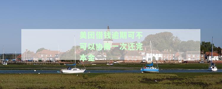 美团借钱逾期后，是否必须一次性还清？解决方案是什么？