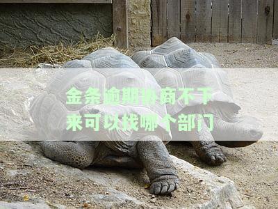 金条逾期能协商还款吗，金条逾期还款：如何进行有效协商？