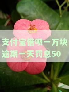 支付宝借呗一万块逾期一天罚息50-支付宝借呗一万块逾期一天罚息500