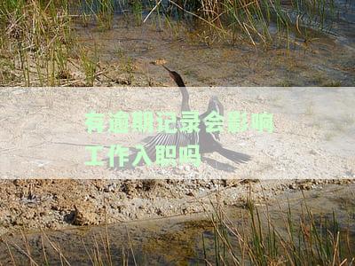 有逾期记录会影响工作入职吗知乎，如何解答：有逾期记录是否会影响工作入职？——知乎社区的经验分享