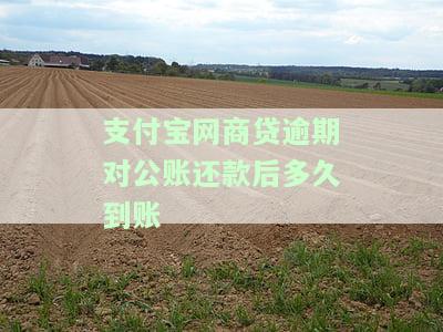 支付宝网商贷逾期对公账还款后多久到账户，如何查询支付宝网商贷逾期后的还款进度？