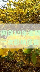 借网贷19年逾期一次，会影响征信吗？——知乎上的解决方案