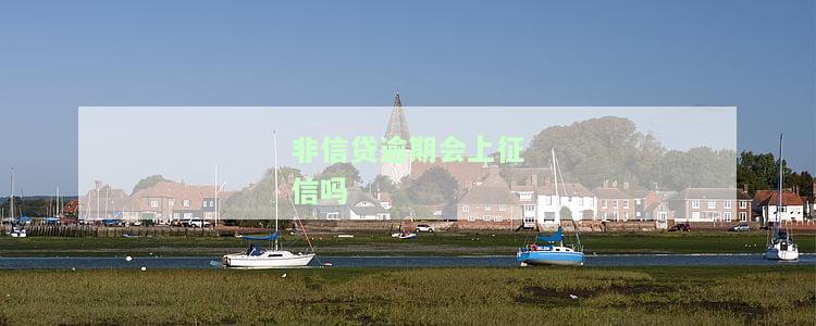 非信贷逾期是否会上征信？全网解答！