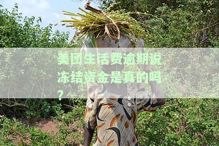 美团生活费逾期会被冻结个人资产吗，美团生活费逾期：会导致个人资产被冻结吗？