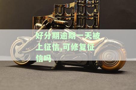 逾期一天被上征信,可修复征信吗是真的吗，真相揭秘：逾期一天被上征信，真的可以修复吗？