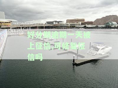 逾期一天被上征信，能修复吗？有何影响？