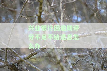 兴业银行因逾期评分不足不给退息怎么办