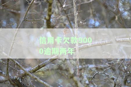 信用卡1000元逾期两年，信用卡逾期两年未还，欠款金额达1000元