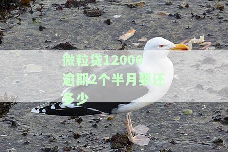 微粒贷12000逾期2个半月应还款及利息是多少？