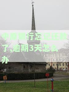 中原银行晚了一天还款，中原银行：未能按时还款，逾期一天