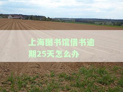 上海图书馆借书超过期限了怎么办，逾期未还？上海图书馆借书超期处理方法解析