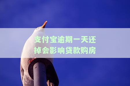 支付宝逾期一天会影响买房吗，支付宝逾期一天会对购房产生影响吗？