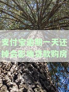 支付宝逾期一次会影响贷款吗？多次逾期会否上征信？