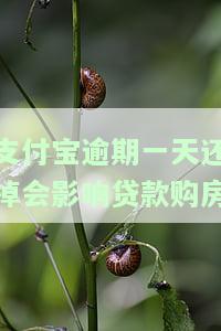 支付宝逾期一天还掉会影响贷款购房