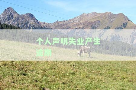 失业声明书：如何撰写有效的例？