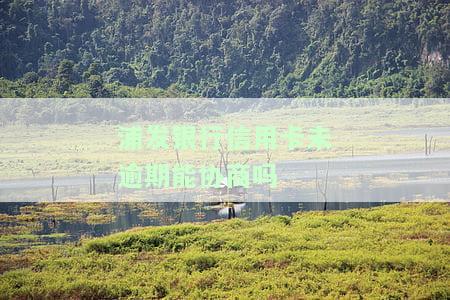浦发银行逾期了怎么办？还不上能否申请分期？