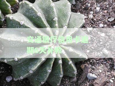 交通银行逾期六天还款后能否继续使用信用卡？