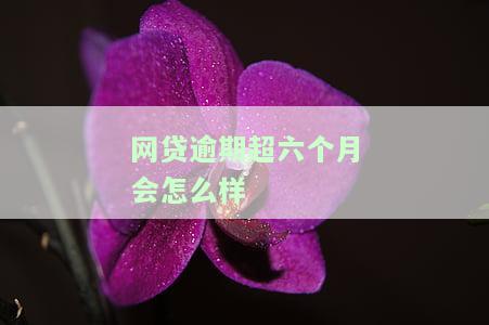 网贷逾期超六个月会怎么样吗，网贷逾期半年以上，你将面临什么后果？