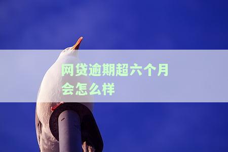网贷逾期6个月多久恢复，如何在网贷逾期6个月后恢复信誉？