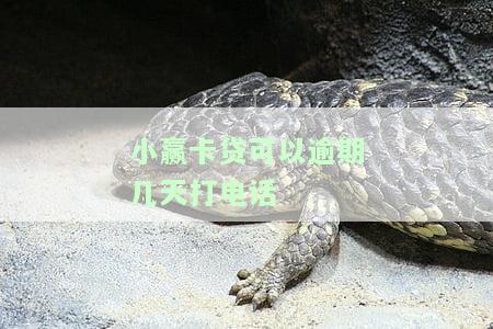 小赢卡贷逾期几天,现在要我全额还款，突发状况：小赢卡贷逾期需全额还款，该怎么办？