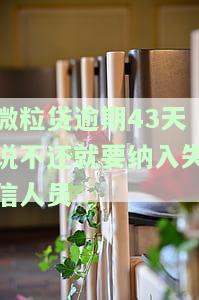 微粒贷逾期70天会成为失信人吗？