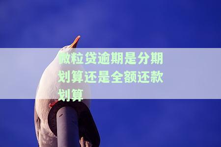 微粒贷逾期是分期划算还是全额还款划算-微粒贷逾期是分期划算还是全额还款划算呢
