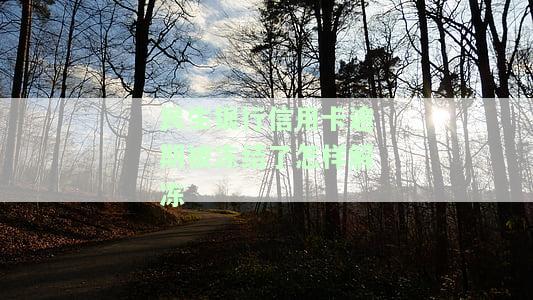 民生银行信用卡逾期被冻结后，如何解冻微信支付和零钱？