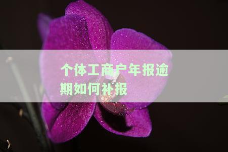 个体工商户年报逾期如何补报？是否收费？需要哪些资料？