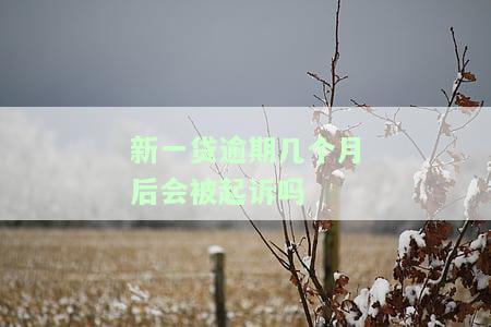 新一贷逾期几个月后真的会被起诉吗？