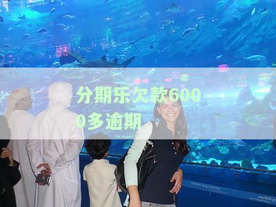 分期乐欠款6000逾期两年，现需偿还多少？逾期多久会产生高额利息？