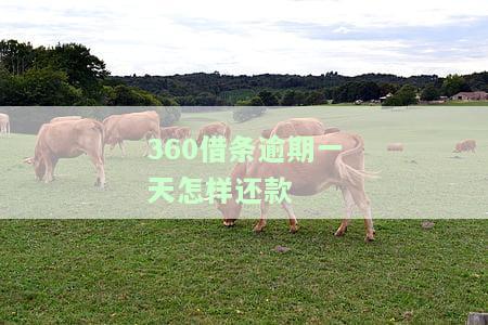 逾期一天还款会影响征信吗？最可晚几天还款？