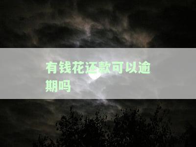 有钱花还款可以期吗？答案在这里！