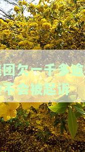 美团欠一千多逾期会不会被起诉成功，美团欠款一千多元逾期，会被成功起诉吗？