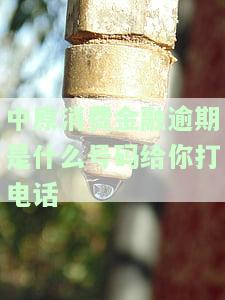 中原消费金融公司逾期会上门吗，中原消费金融公司逾期是否会进行上门催收？