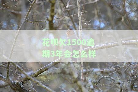 花呗欠1500逾期3年会怎么样处理，逾期三年未还，花呗欠款1500元将面临何种处理？