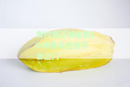 花呗逾期1000多会否给家里打电话？真相解析与应对方法