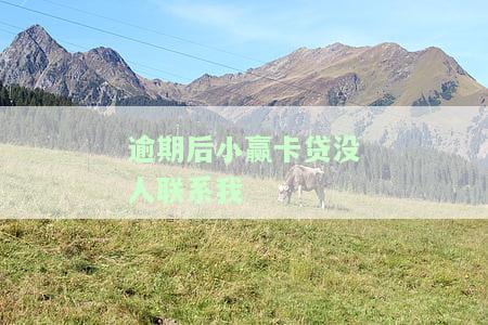 逾期后小赢卡贷没人联系我