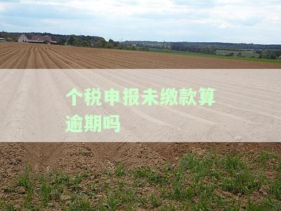 个税申报未缴款算逾期吗？如何处理逾期情况？
