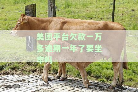 美团平台欠款一万多逾期一年了，是否会坐牢？解决方案是什么？