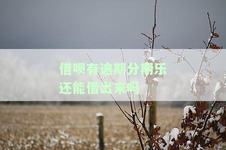 借呗逾期分期后能否继续使用？再分期后逾期处理方法及影响